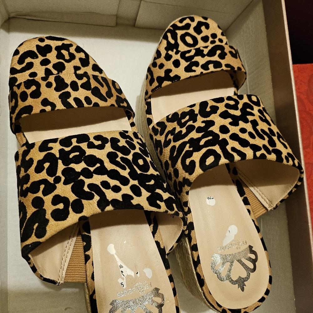Shoe - Picture 2 of 4
